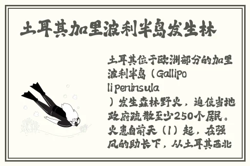 饥饿的岳母手机在线